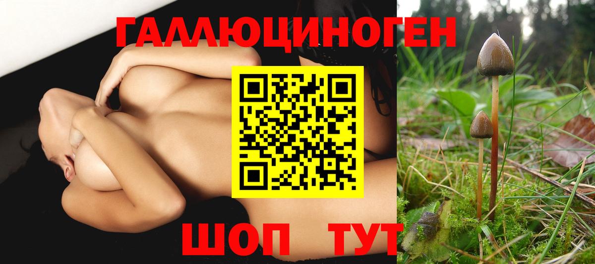 Псилоцибиновые грибы MAGIC MUSHROOMS  Псилоцибиновые грибы мухоморы  Азов  Вход с VPN 
